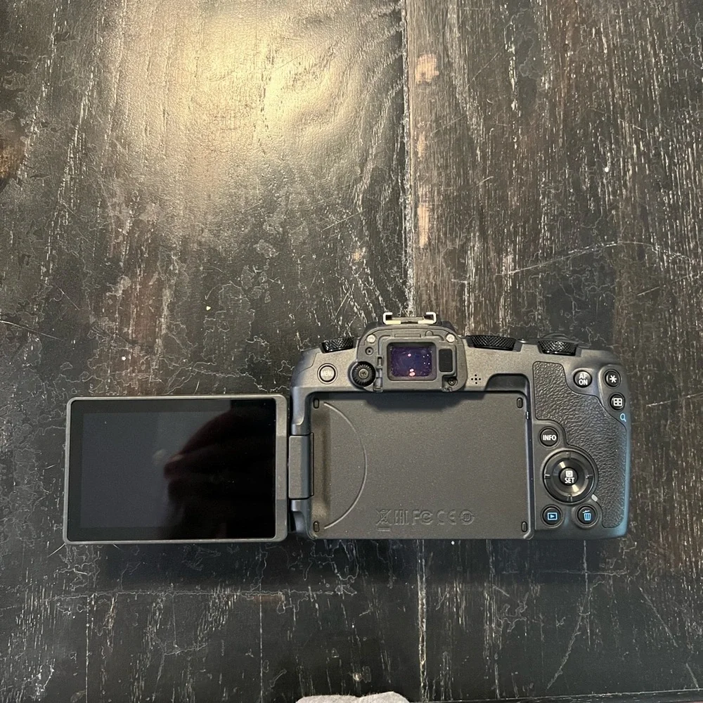 Canon EOS RP with mount adapter, two lenses, gimbal, and strap